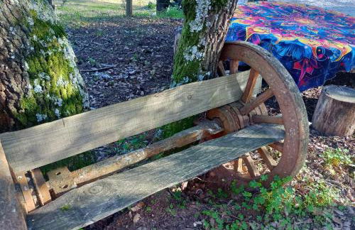 Retiro dos Cedros - Quarto Adega - Foto 37