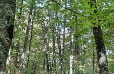 Appartamenti Paolo - Foto 19