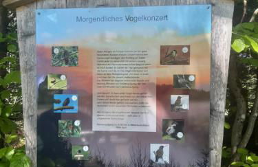 FeWo Schwarzwald von oben - Kniebis - Foto 25