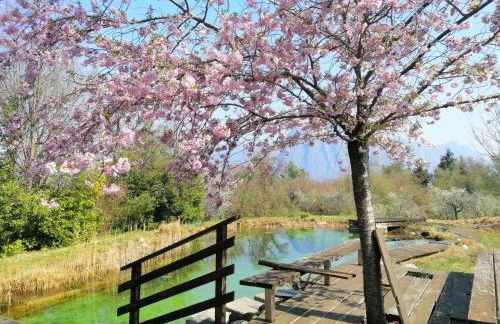 IseoLakeRental - Villa Dossello - Foto 13