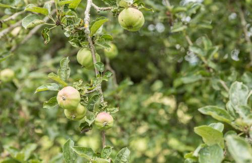 Haus Afaldra - Foto 23