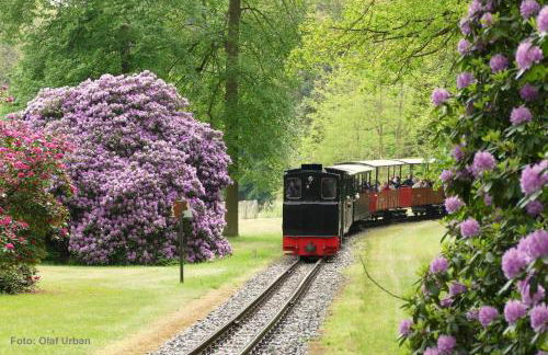 Ferienwohnung GNUBBEL am Wald - Foto 16