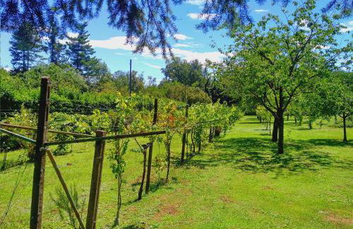 Milano Country Club - Villa with private pool and garden - Foto 58