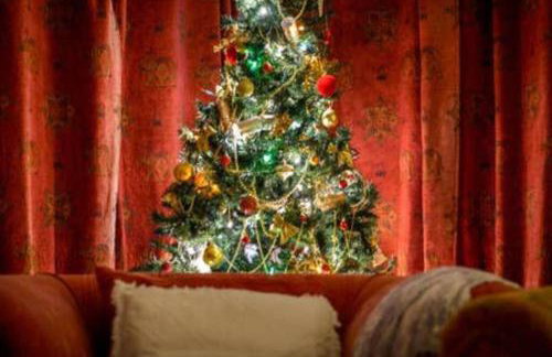 Super Spacious Country house pet/party friendly. - Foto 25