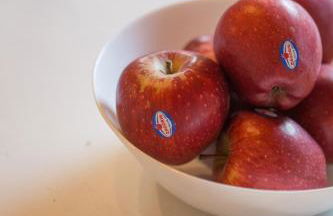 Fofi's House - Foto 33