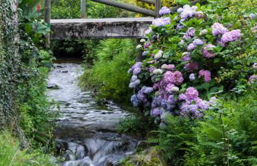 Casas Rurales TAReira en Taramundi - Foto 60