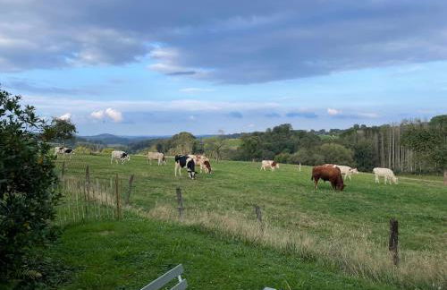 Fewo Landliebe - Foto 31