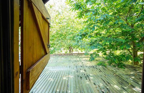 Finca Encantada - Foto 22