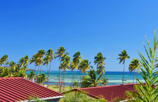 Le Village de la Pointe - Photo 62