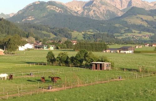 Ferienhaus Schönhensch - Photo 40