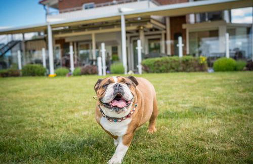 Ferienzentrum Yachthafen Rechlin - Foto 18