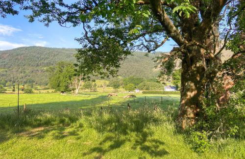 Hobgoblin Apartment - Uk42205 - Foto 6