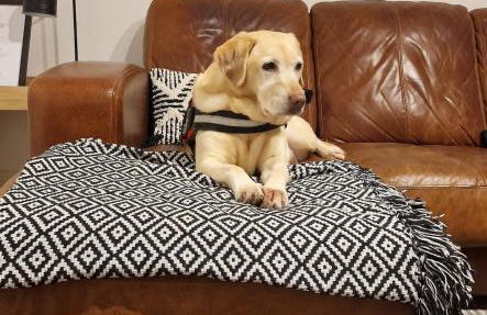 Cullen Holiday Home - Foto 24