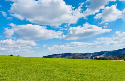 Panoramablick mit Premium-Wanderwegen vor der Haustür - Foto 45