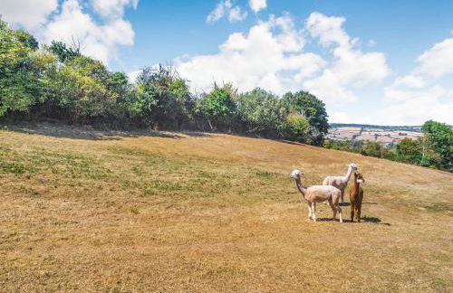 New Barn Reservoir - Foto 11