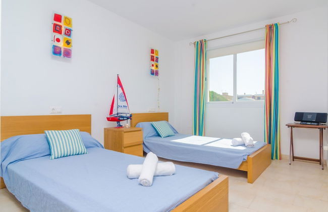 Bugambilia in Sa R Pita - Foto 23