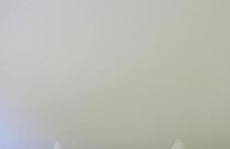 "Chalet H28" mit 4 Schlafzimmer in Todtnau-Muggenbrunn - Foto 14