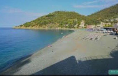 L' eden di Erasmo - Foto 62