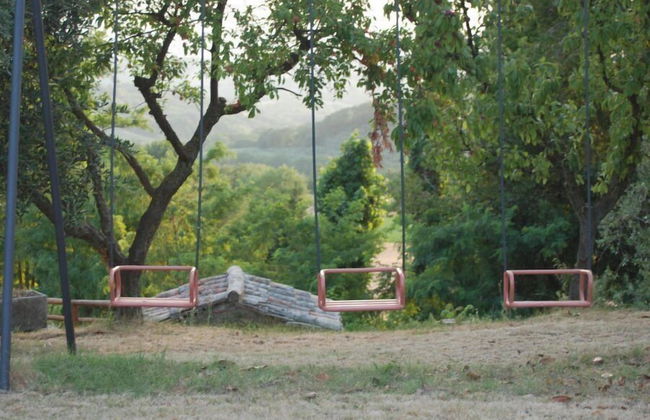 Tenuta San Savino delle Rocchette - Foto 65