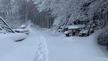 Sogno Amiatino - Foto 4