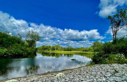 Mattawamkeag River Cottage - Foto 25