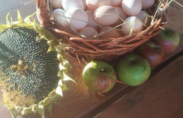 Agroturystyka nad potokiem - Foto 17