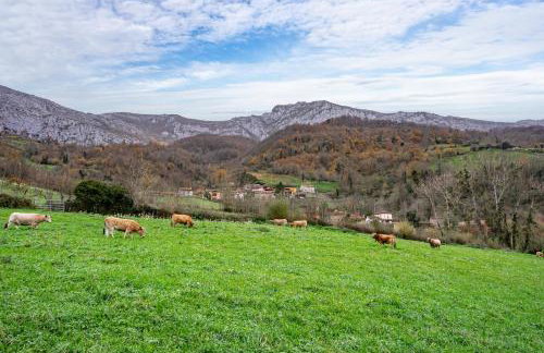 La Carrozal Senda del Oso - Foto 32