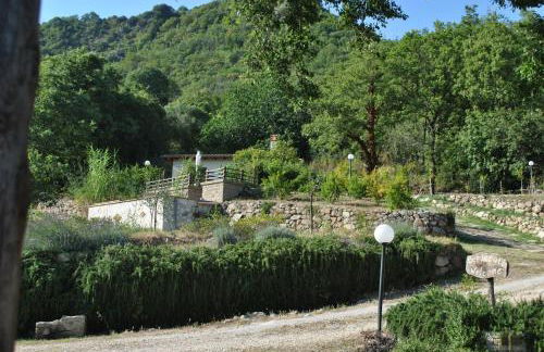 Azienda Agricola Biologica La Cardellina - Foto 43