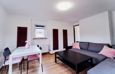 Domki Nad Stawami Apartament - Foto 10