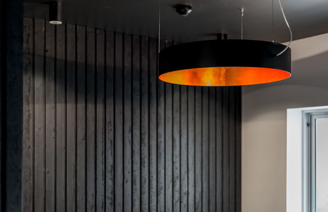 Elk at Falls - Photo 63