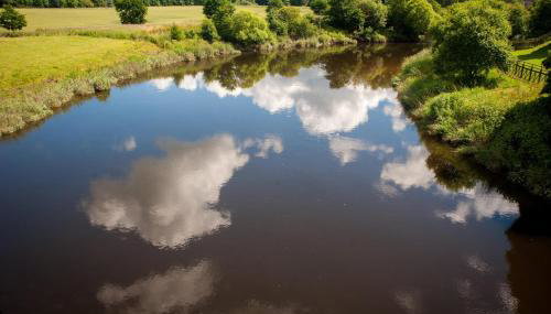 River Edge Lodges - Foto 2