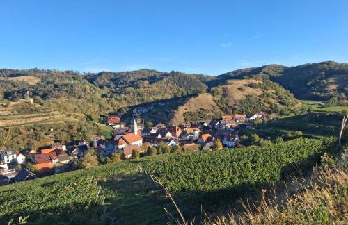 Ferienhaus Ziegler - Foto 5