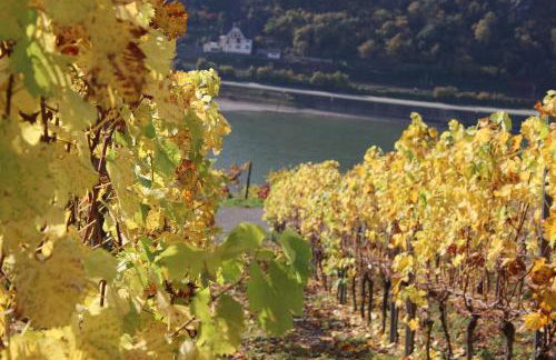 Ferienwohnung Loreley - Foto 31