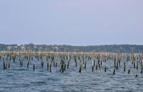 200 M Port de Cassy , studio cosy 3 pers - Foto 24