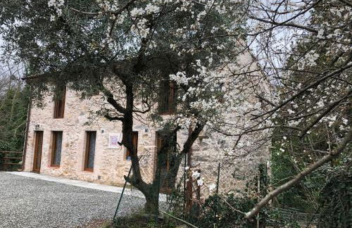 DOLCE VITA IN TUSCANY Cottage - Foto 9