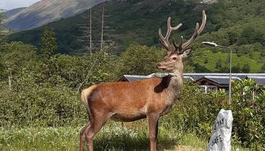 Nevis Pod, West Highland Way Holidays - Foto 5