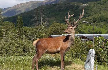 Nevis Pod, West Highland Way Holidays - Foto 5