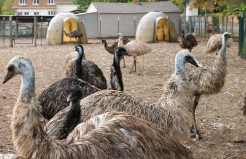 Bucks County Home Farm Philadelphia Dog Friendly - Foto 50