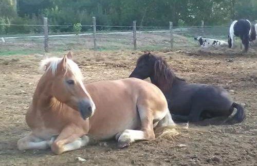 All'Antica Ruggine - Photo 39