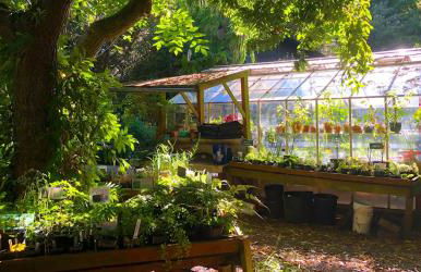 Modern 4BR Family Oasis - Treehouse Bunk &Game Room - Foto 58