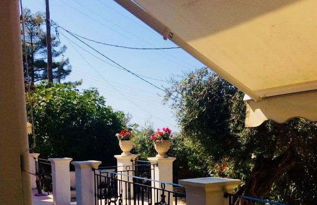 Villa Ampelaki (30 meters to the beach) - Foto 15