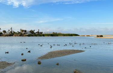 Acogedor apartamento en la playa vera - Foto 53