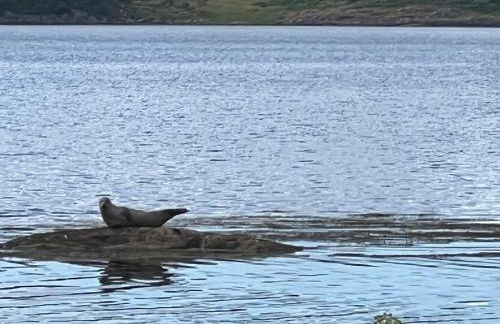 Our Salad Days Lochgilphead - Foto 24