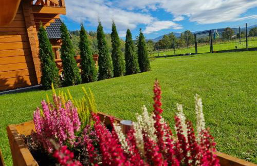 Słoneczne Domki Sudety - Domki Całoroczne Kotlina Kłodzka - Foto 23