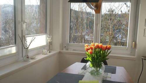 FERIENWOHNUNG CARLE - Wohnen in Bad Mergentheim - Foto 2, sunbed