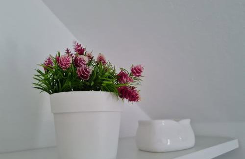 Apartman Naturalis flumen - Foto 28