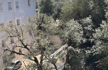 Appartement - Bastia - Photo 6