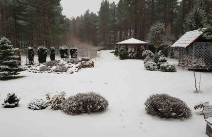 Relax in Tlen - Foto 10