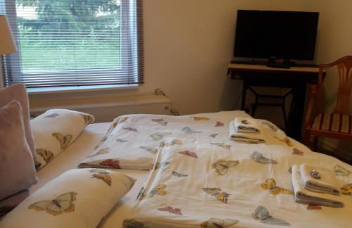 Ferien Mecklenburgische Seenplatte, Urlaub auf dem Gutshof Bossow - Foto 32