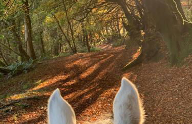 Ideally located Luxury Country Escape-The Lookout-with private garden dog friendly and private hot tub - Foto 13